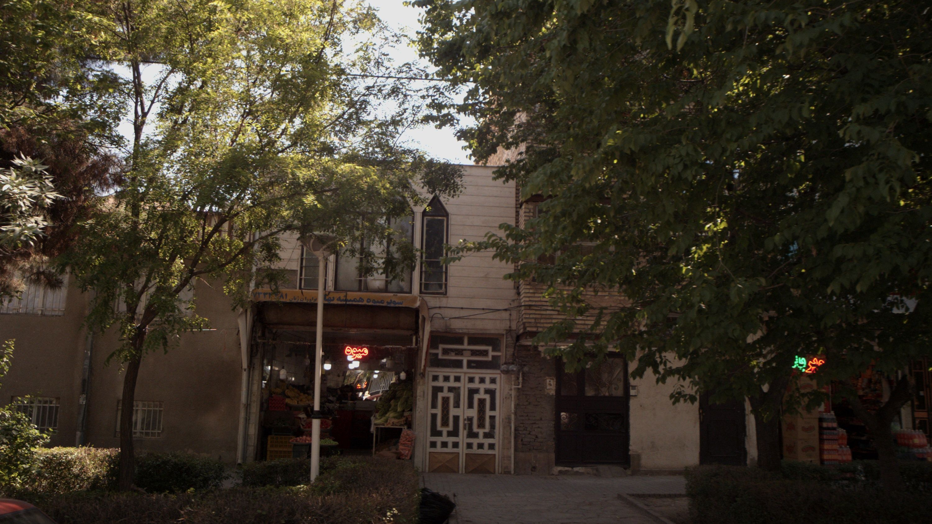 سوپر میوه همیشه بهار