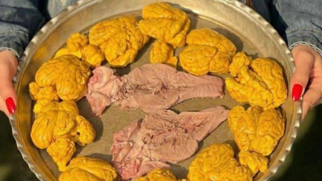 طباخی شب های تهران