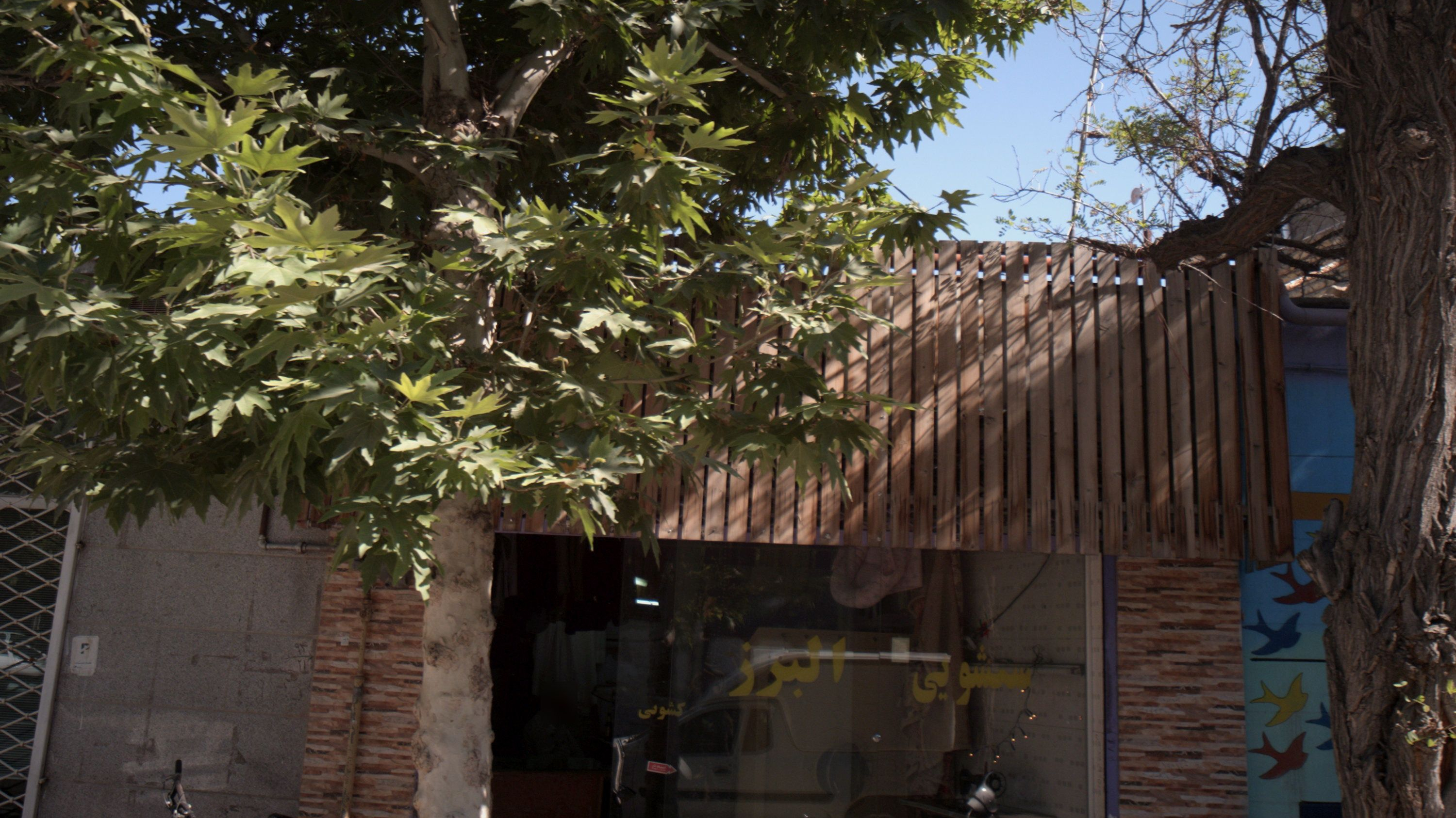 خشکشویی البرز