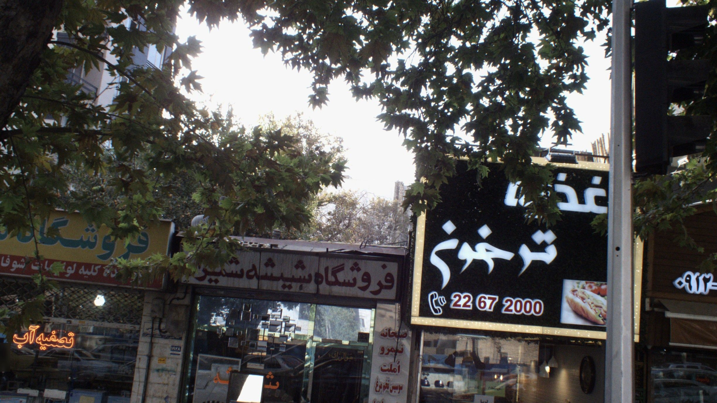اغذیه ترخون