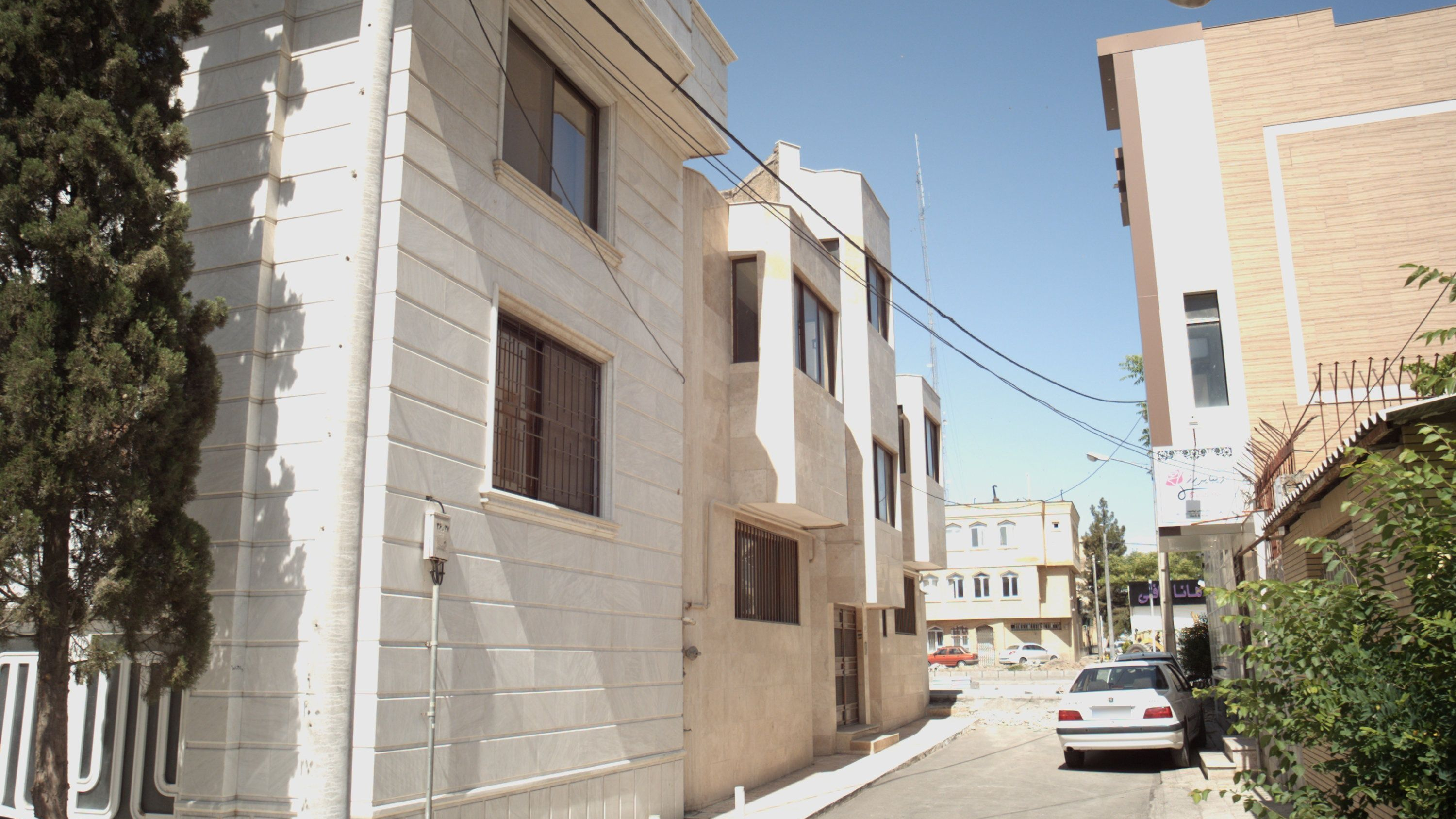 زیبایی رز