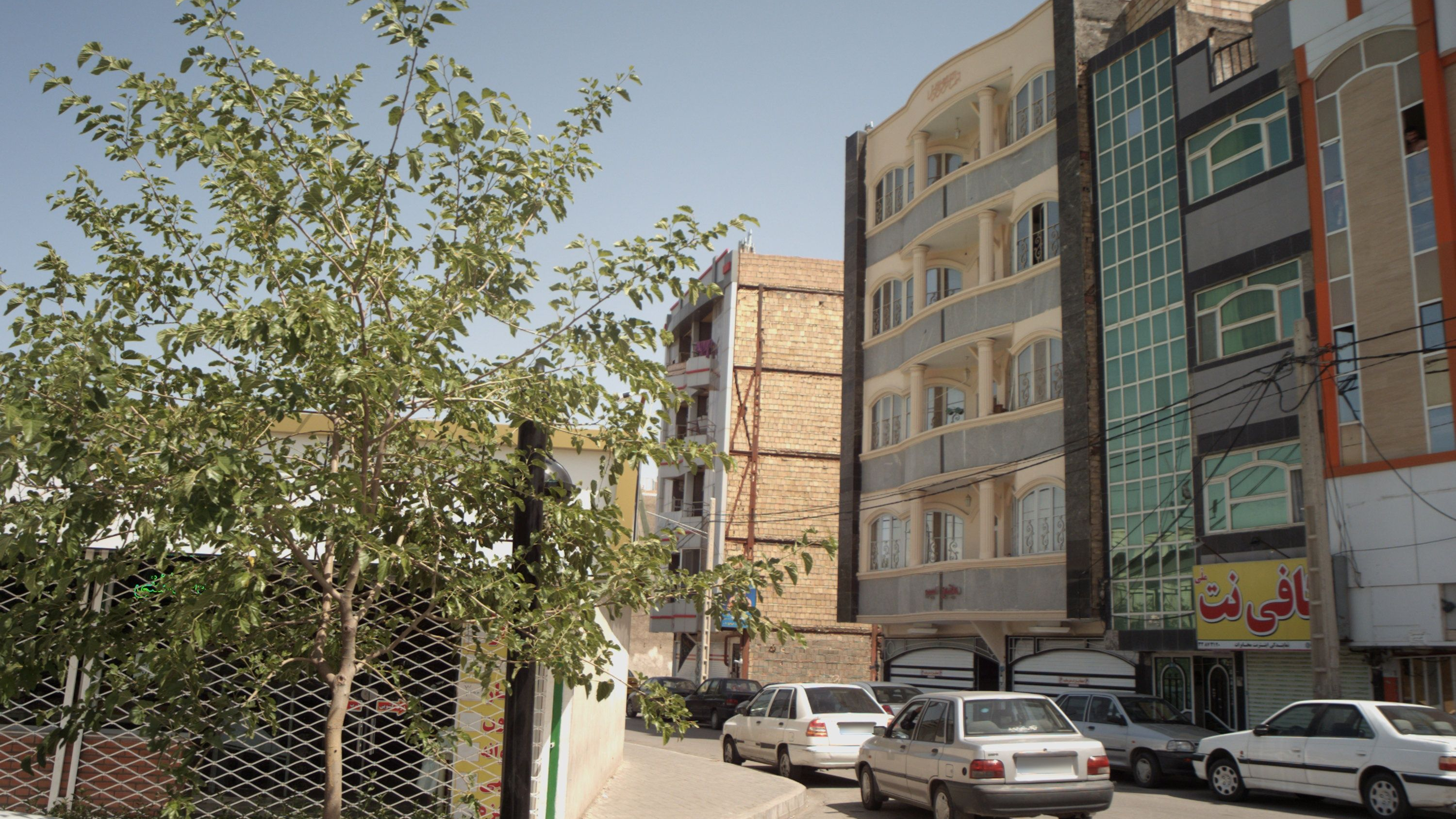 میوه فروشی