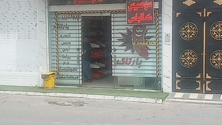 پروتئین پارتاک