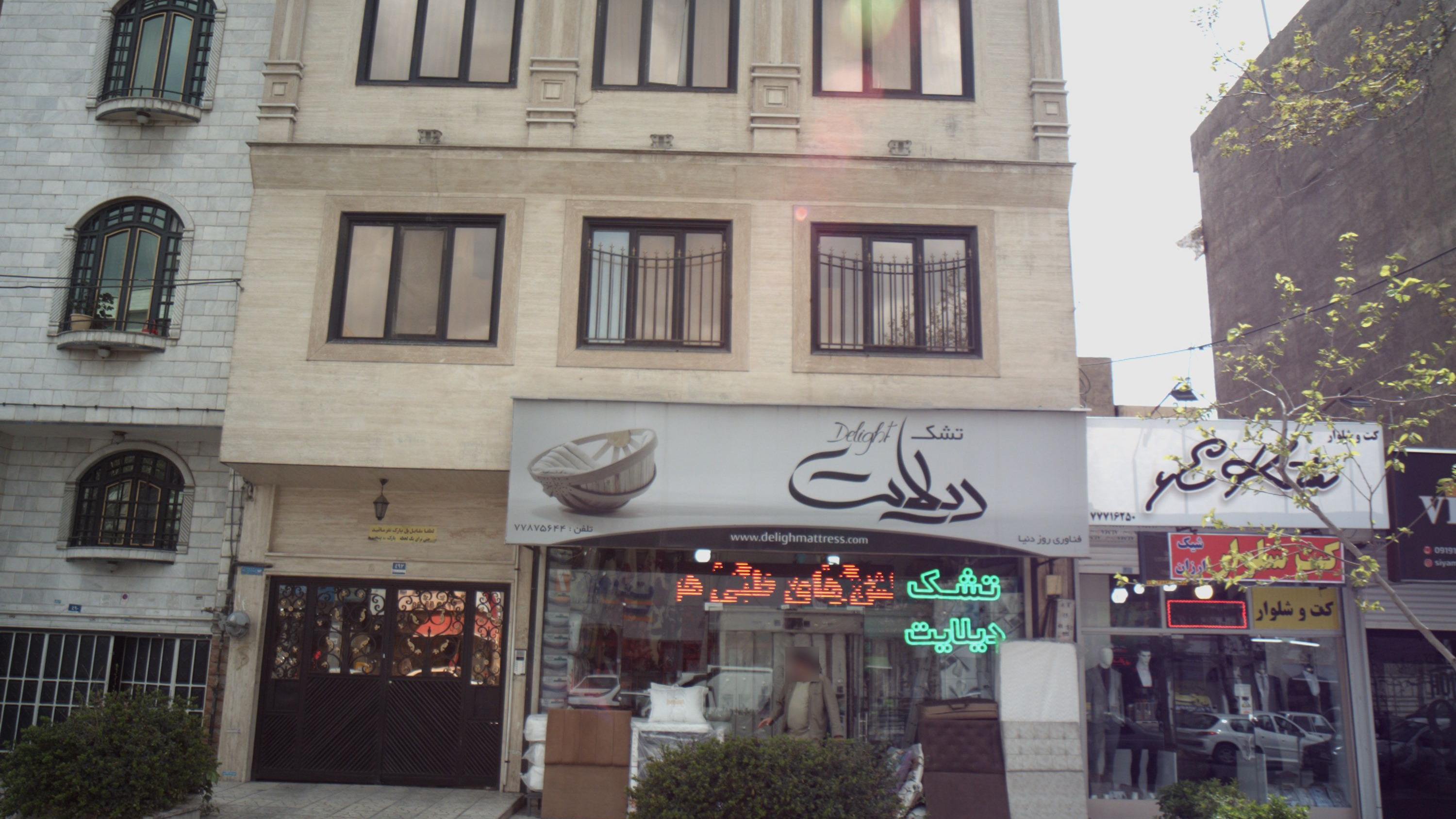 تشک دیلایت