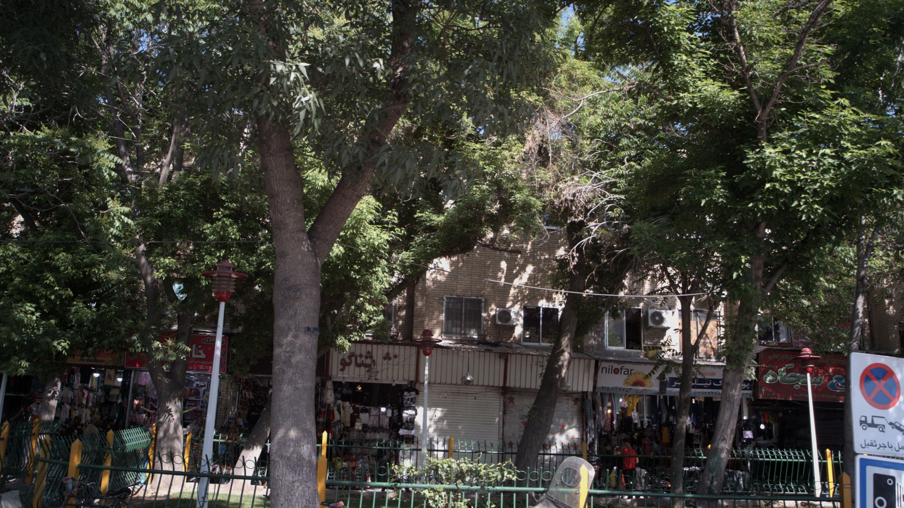 کفش شناگو