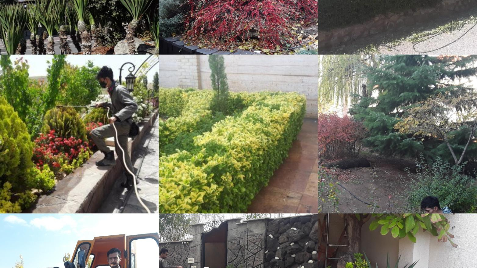 باغبانی هرس سمپاشی