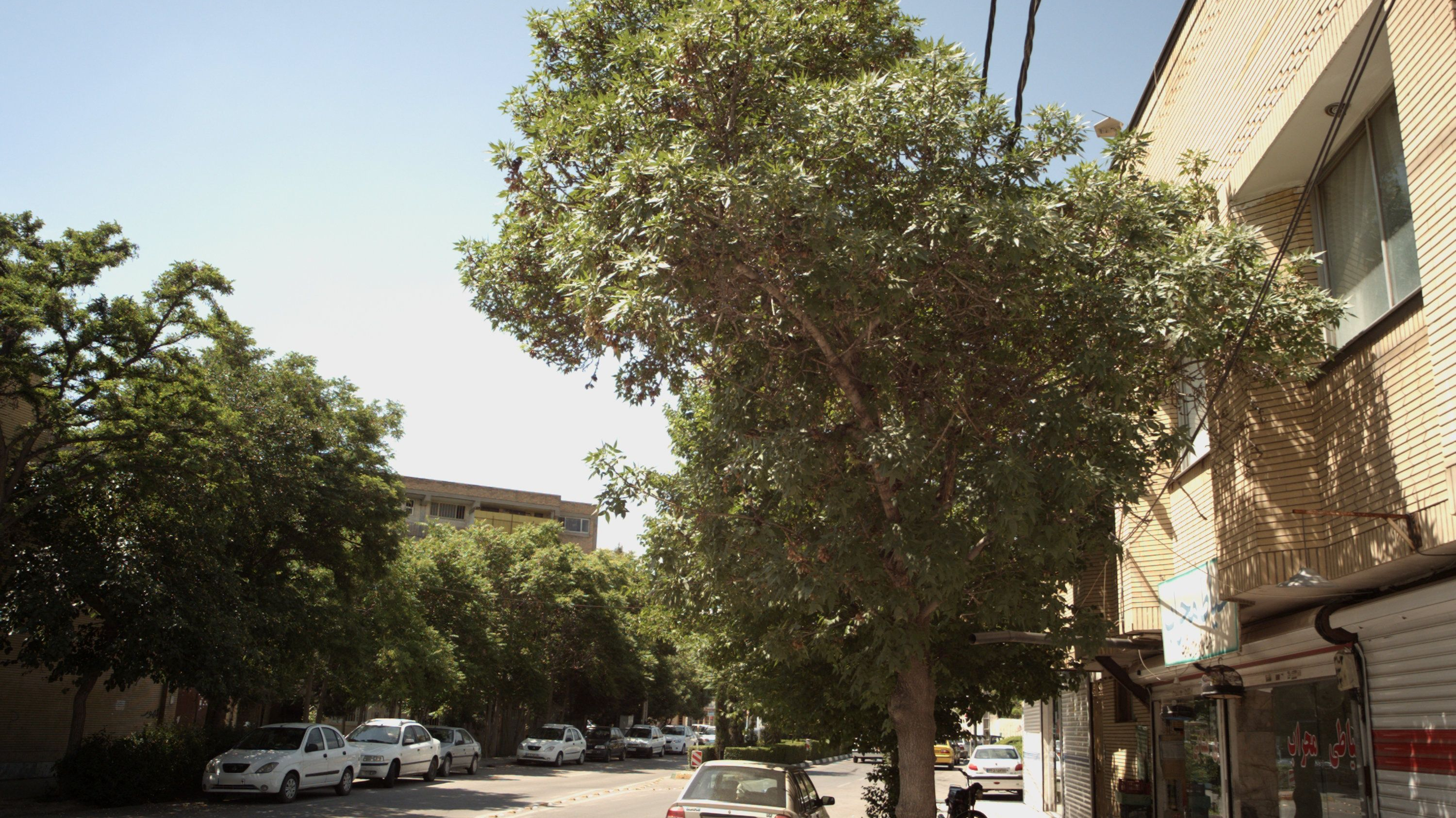 خیاطی محراب