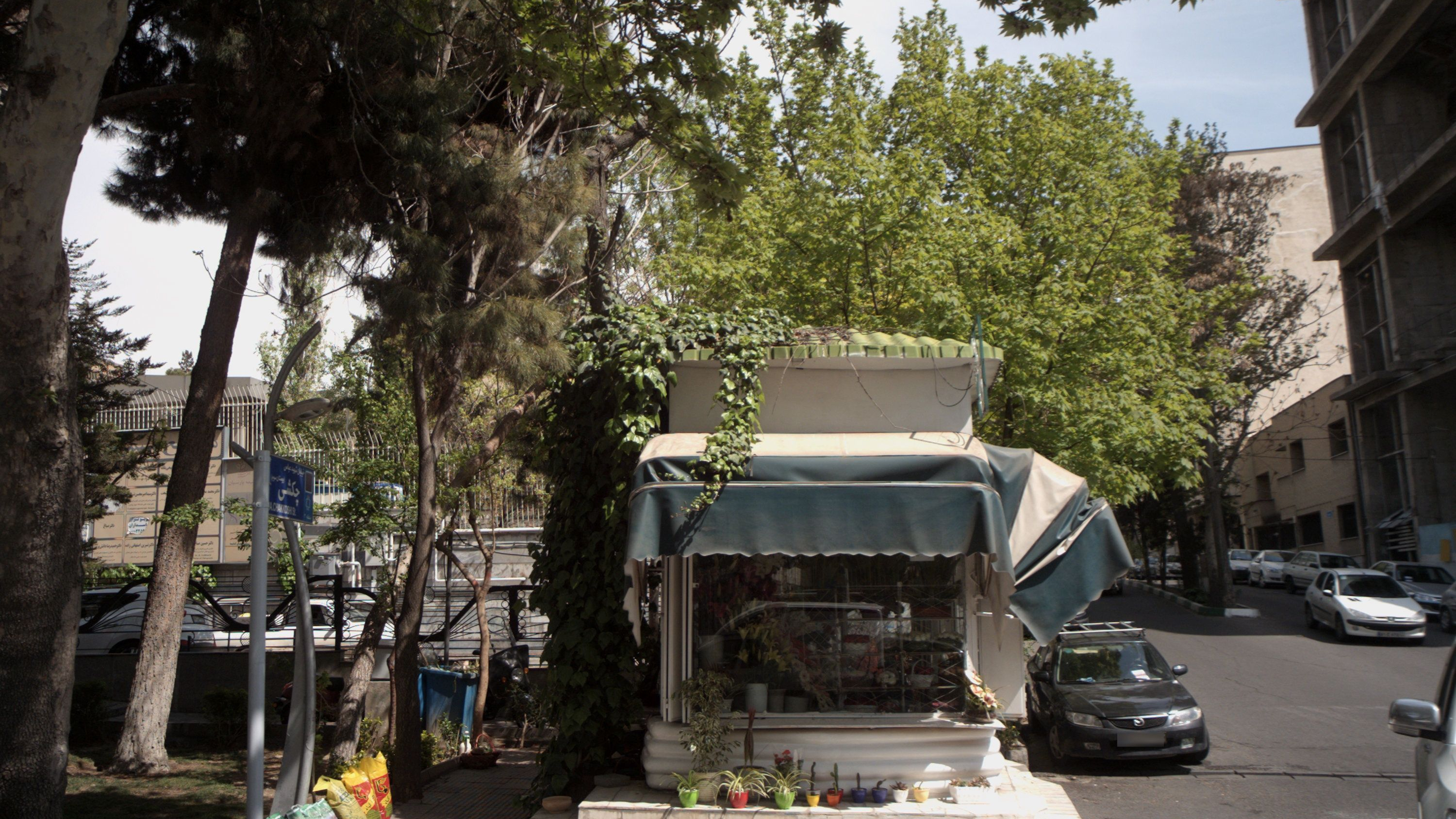 گلفروشی