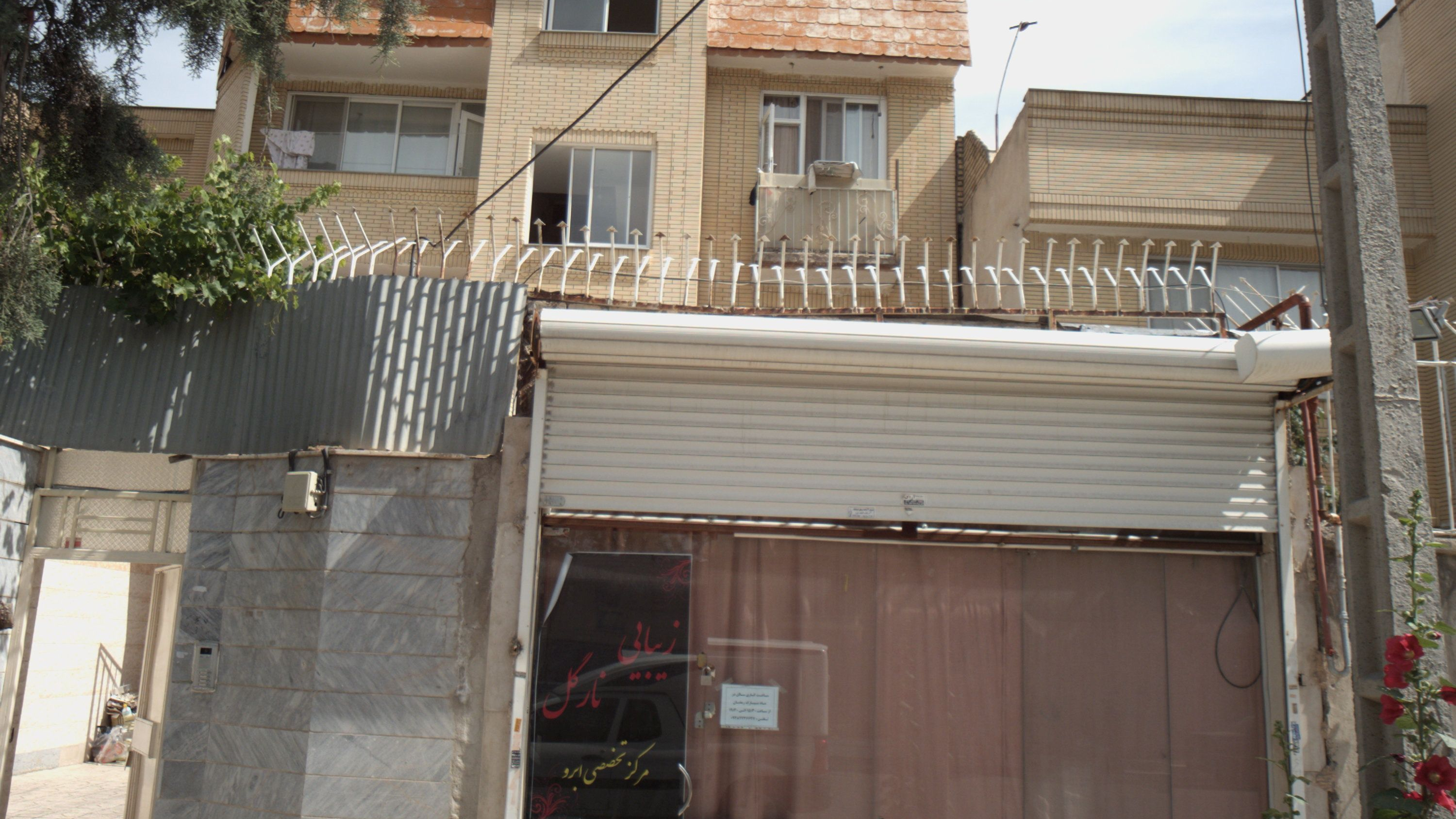 زیبایی نارگل
