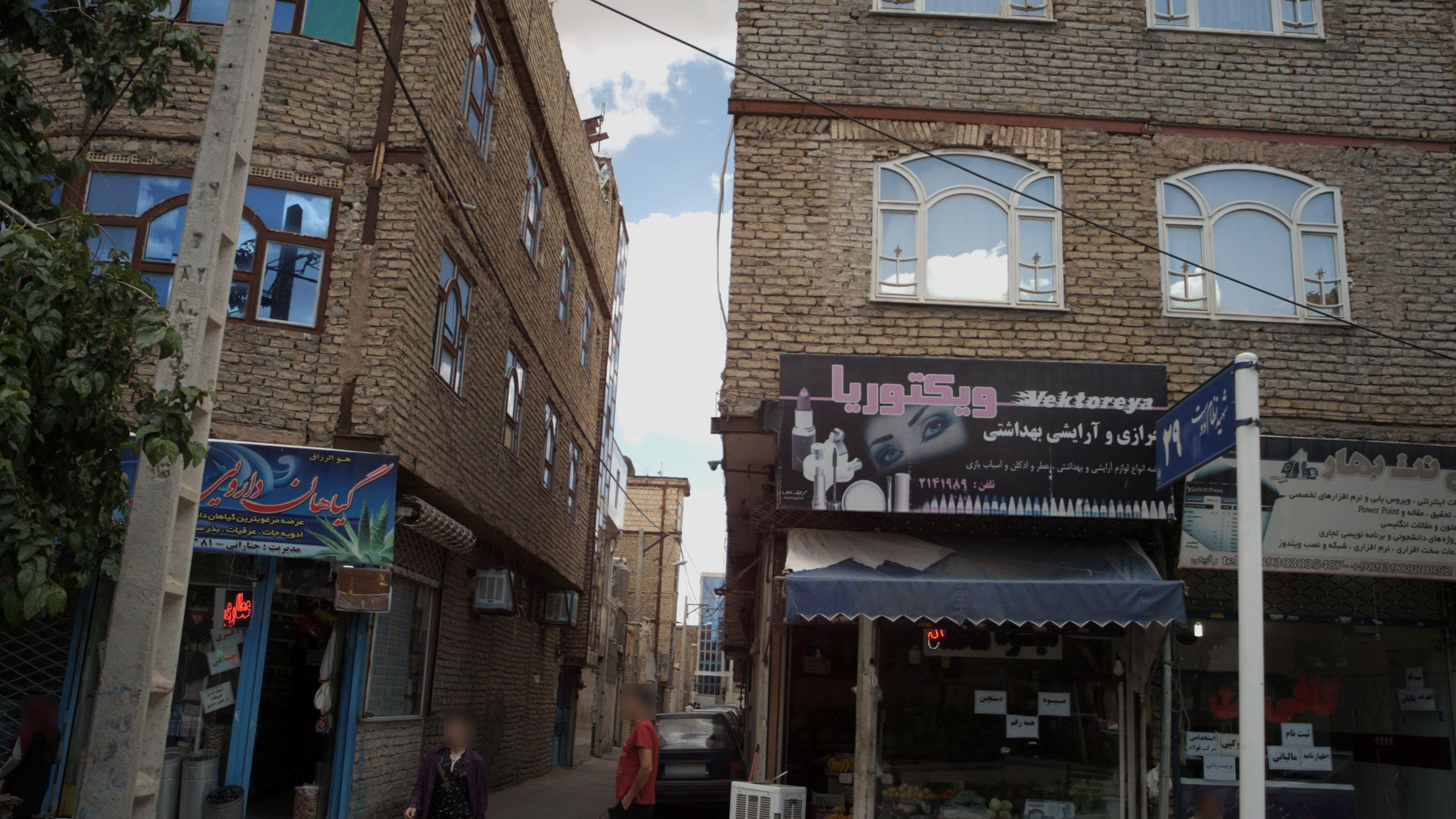 گیاهان دارویی