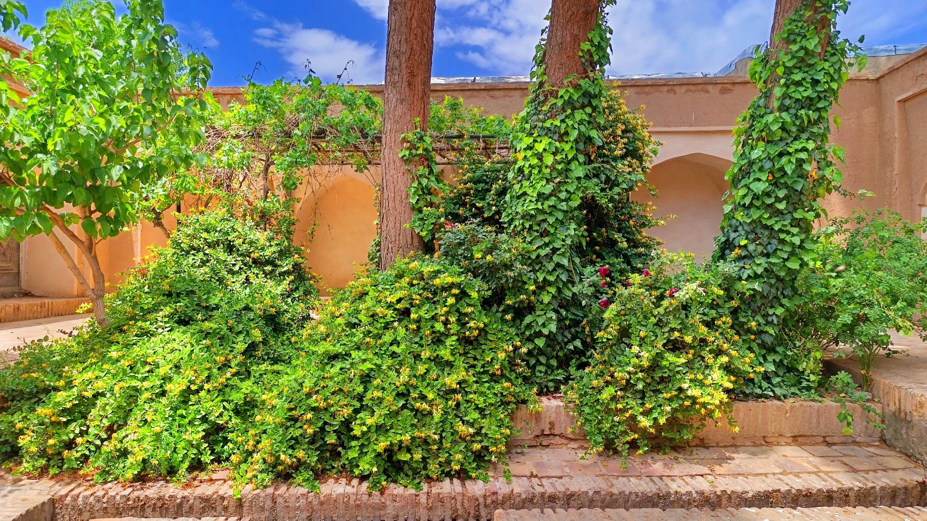 مسجد جامع پخت