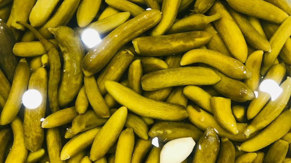 فروشگاه پروتئین امین پور