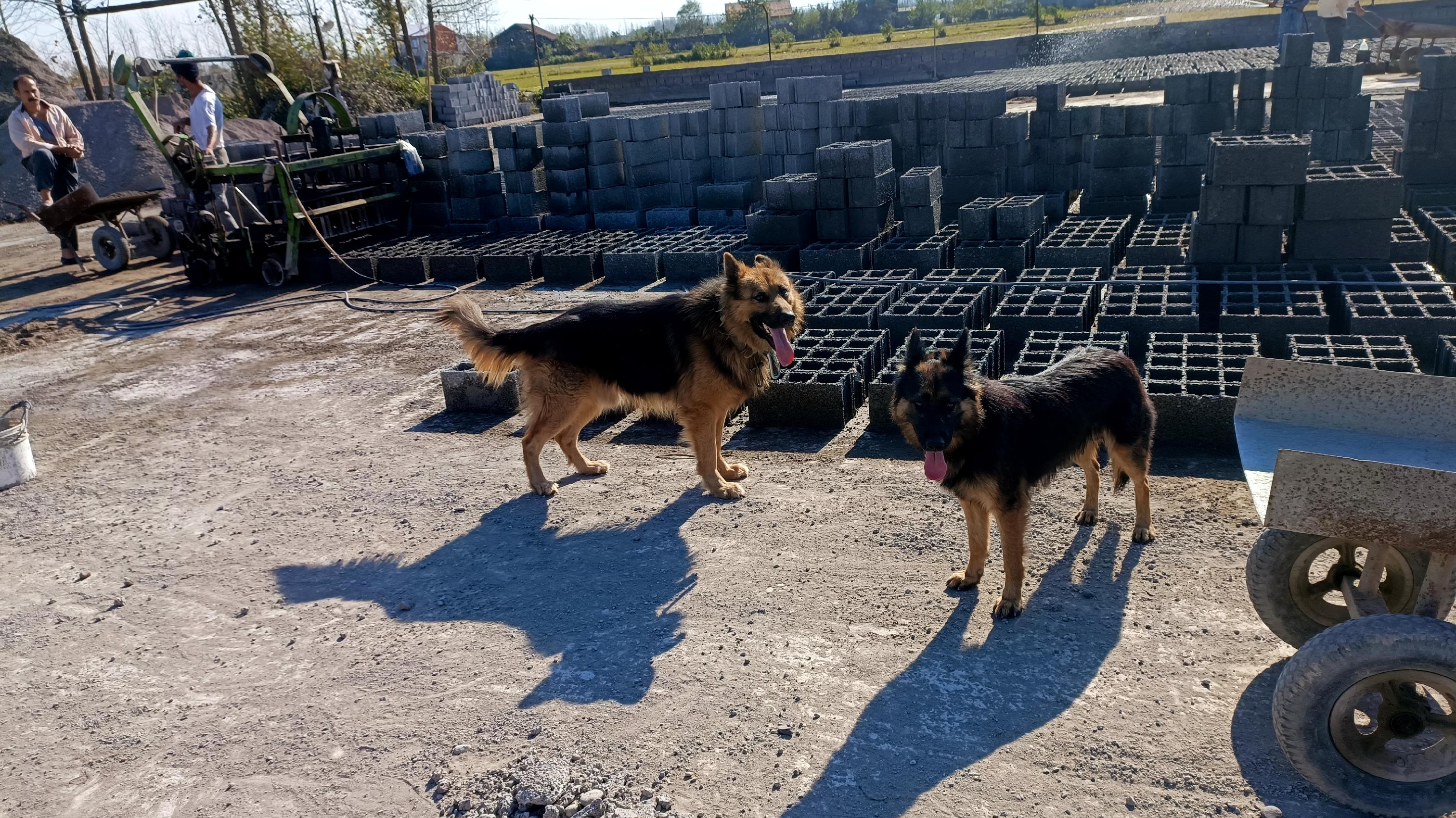 بلوک سازی گرامی