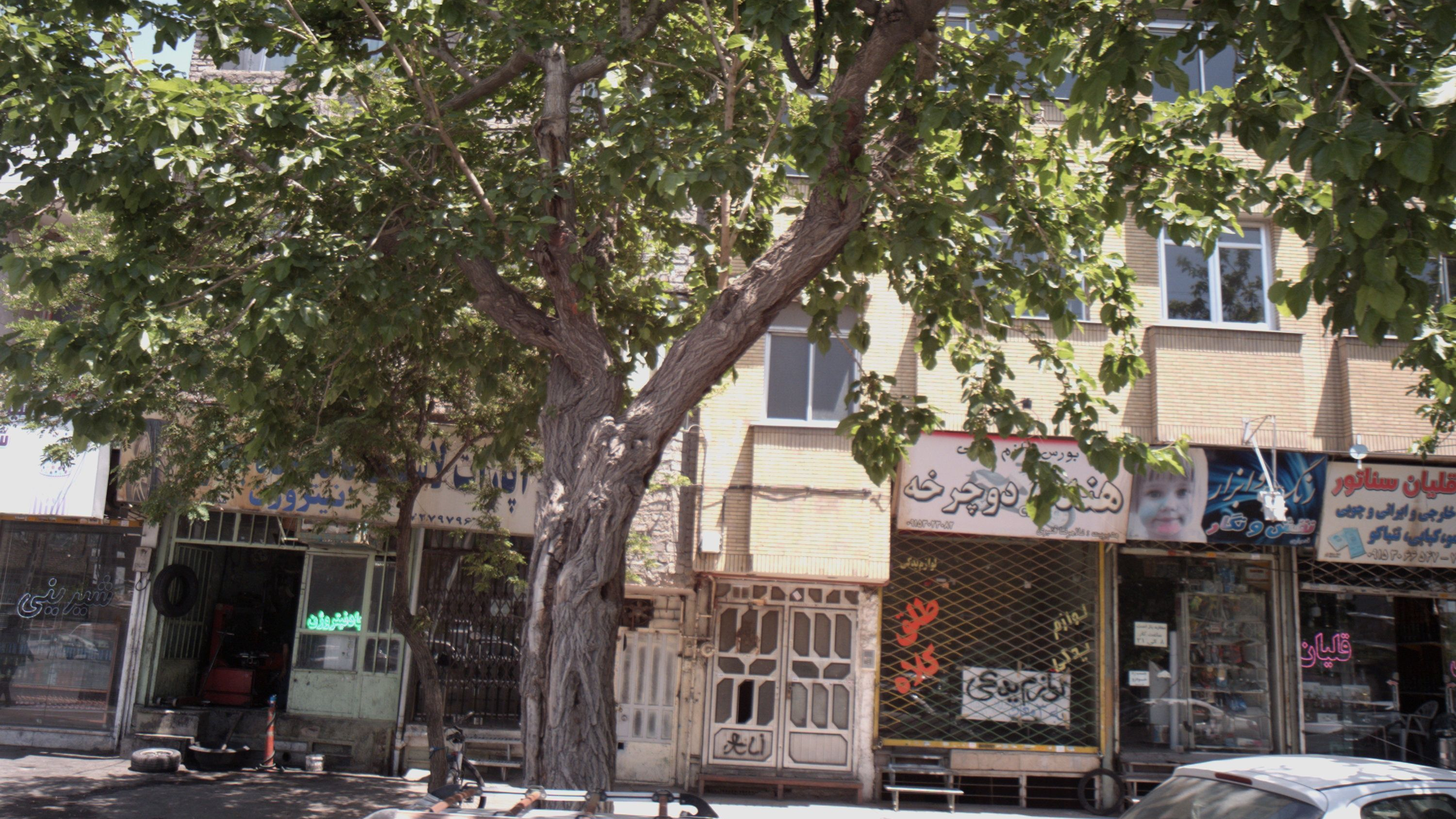 رنگ و ابزار نقش و نگار