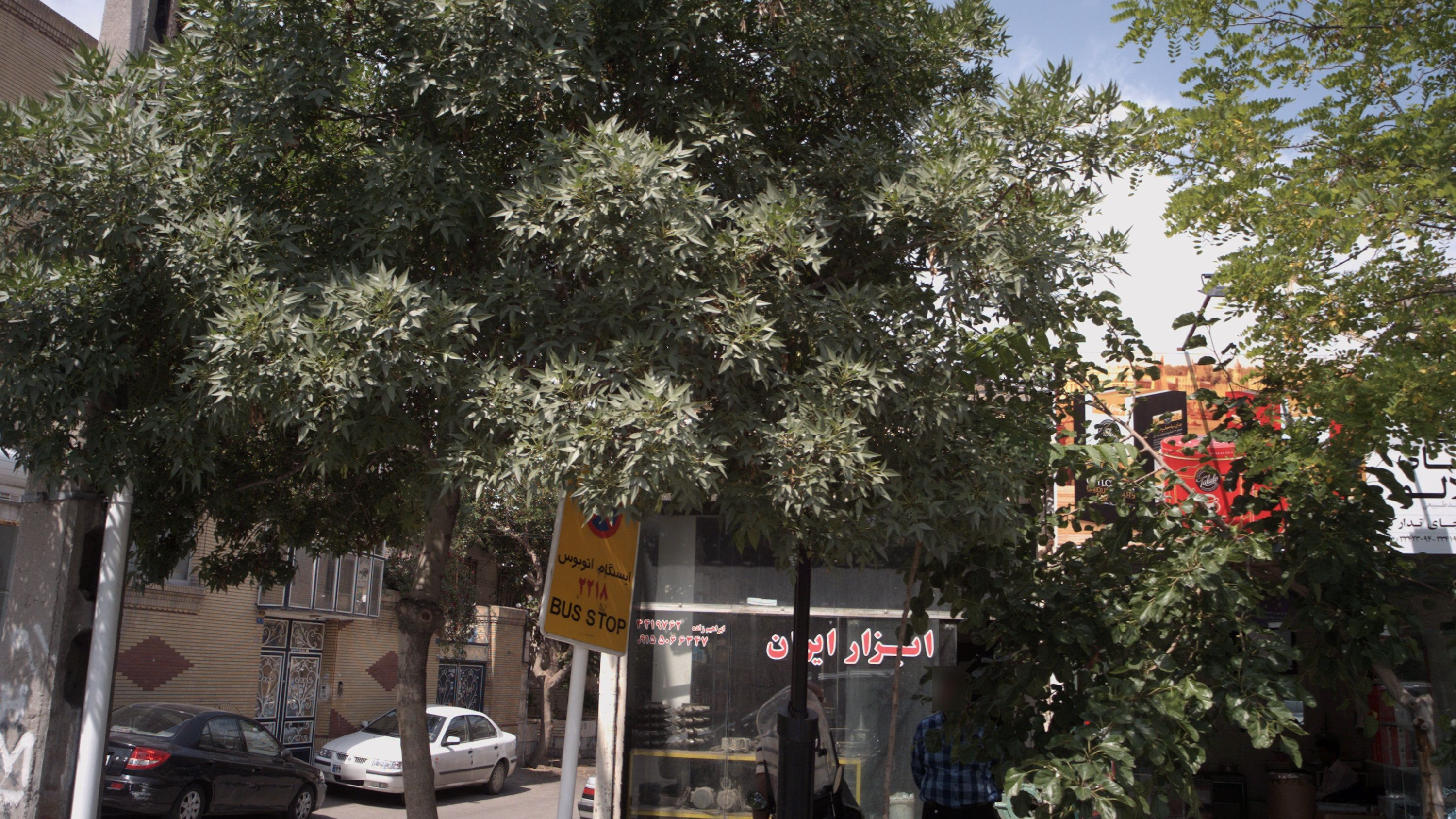 ابزار ایران