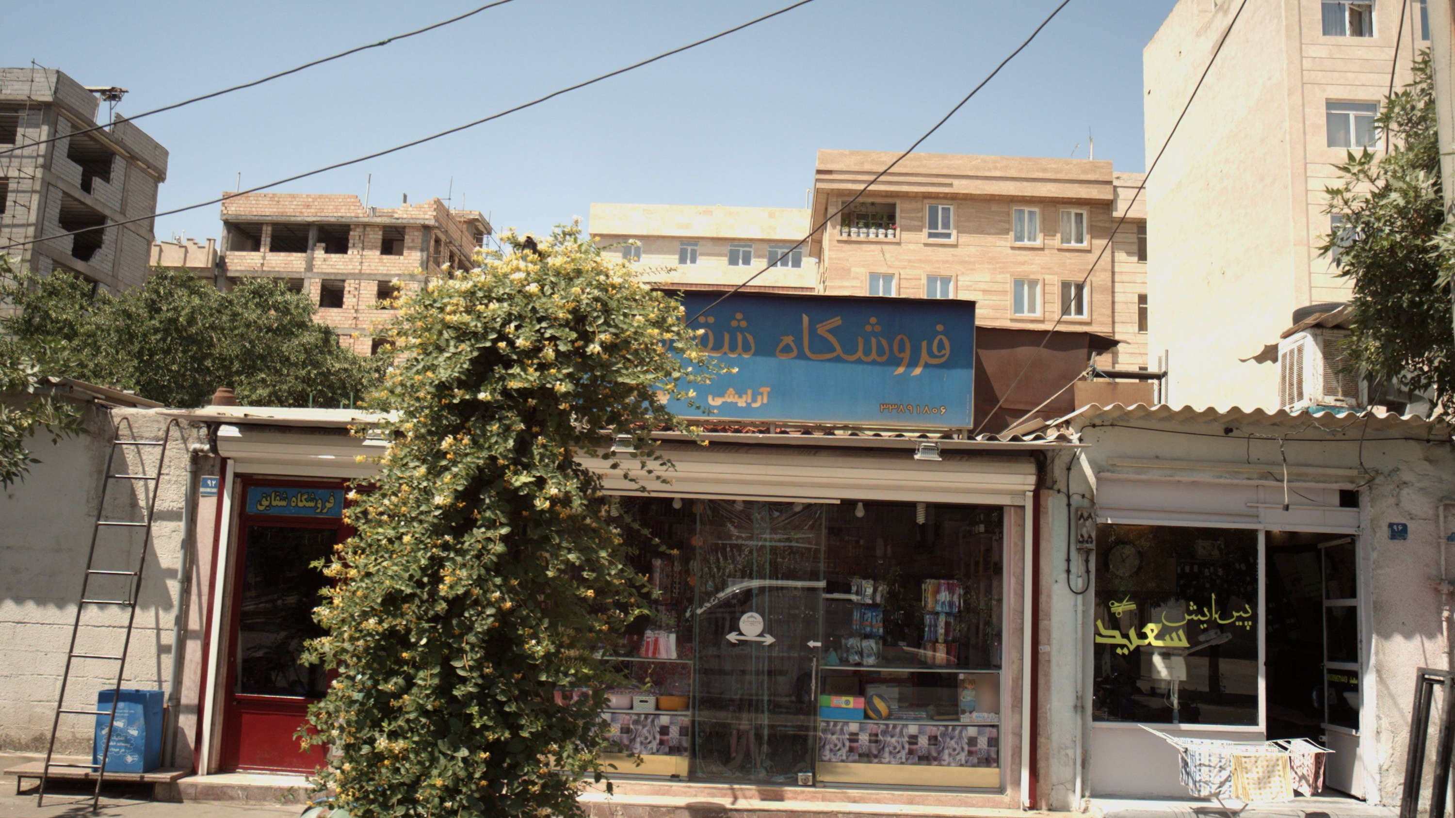 پیرایش سعید
