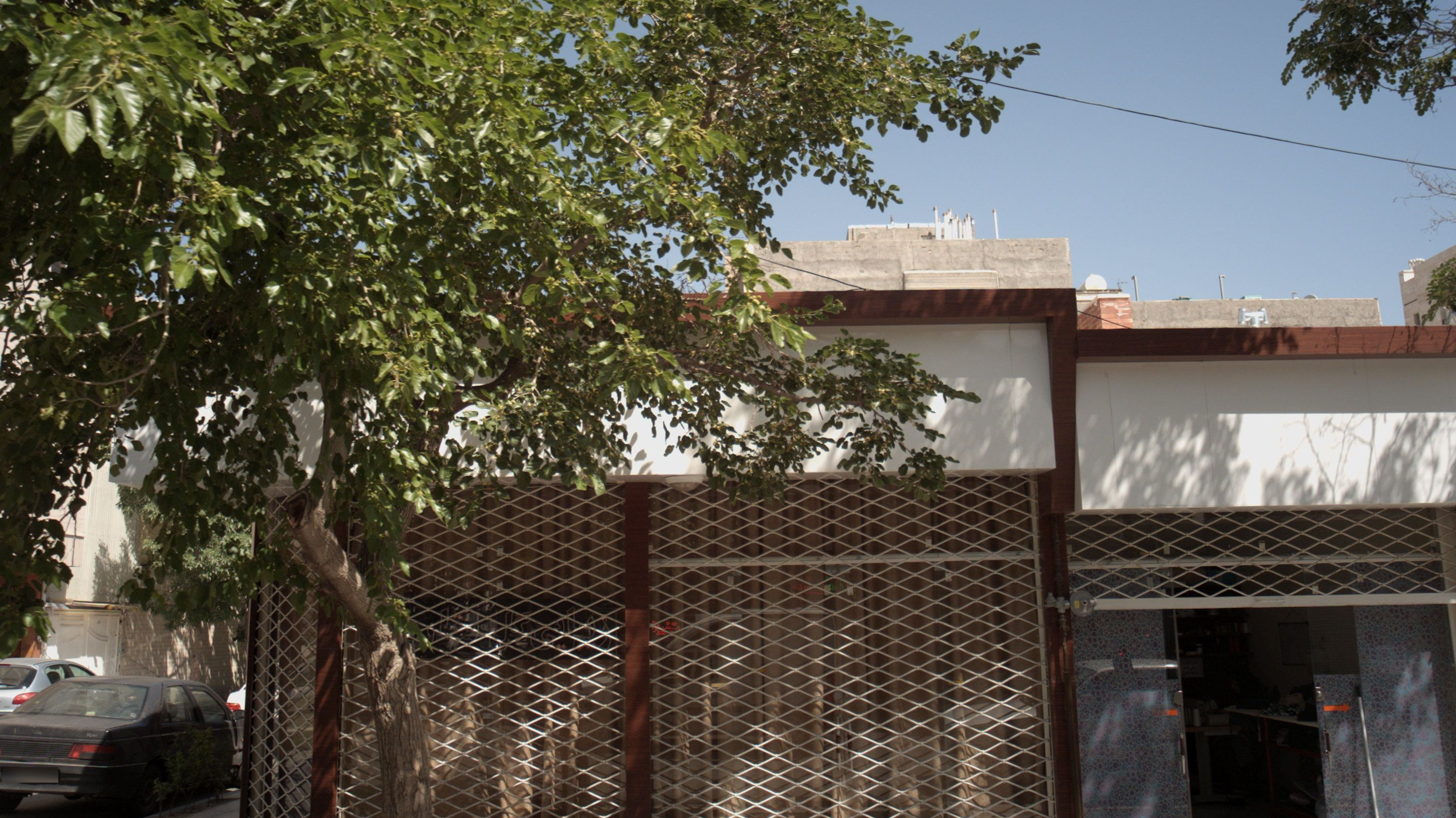 زیبایی گل بهاره