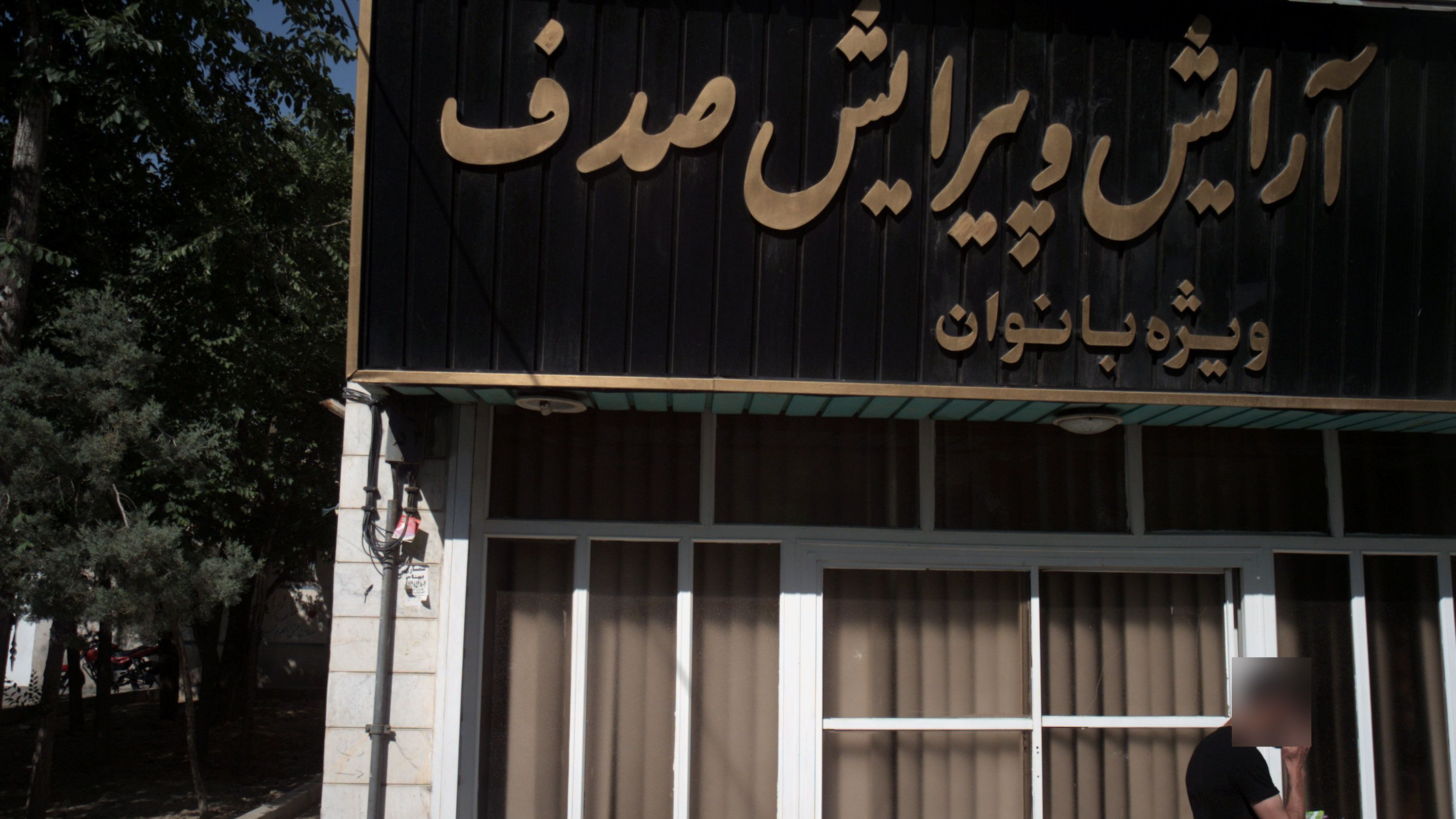 آرایش و پیرایش صدف