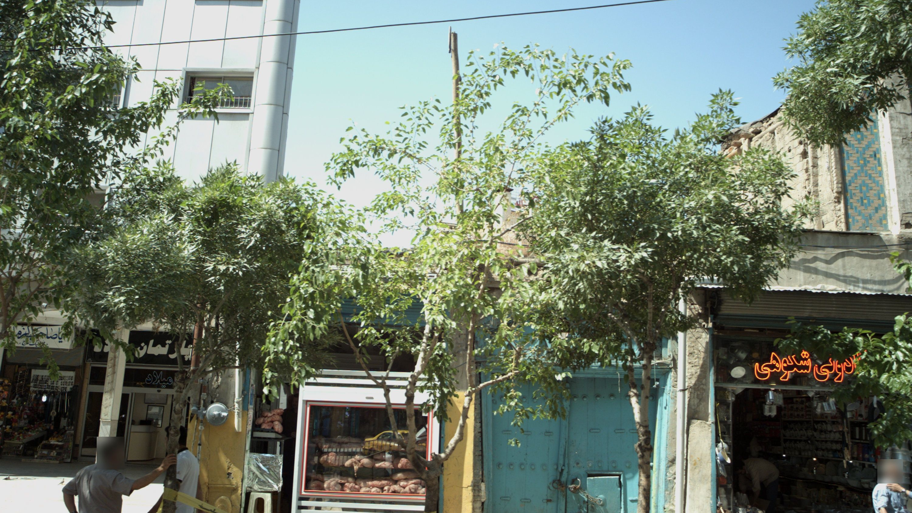 فروشگاه مرغ
