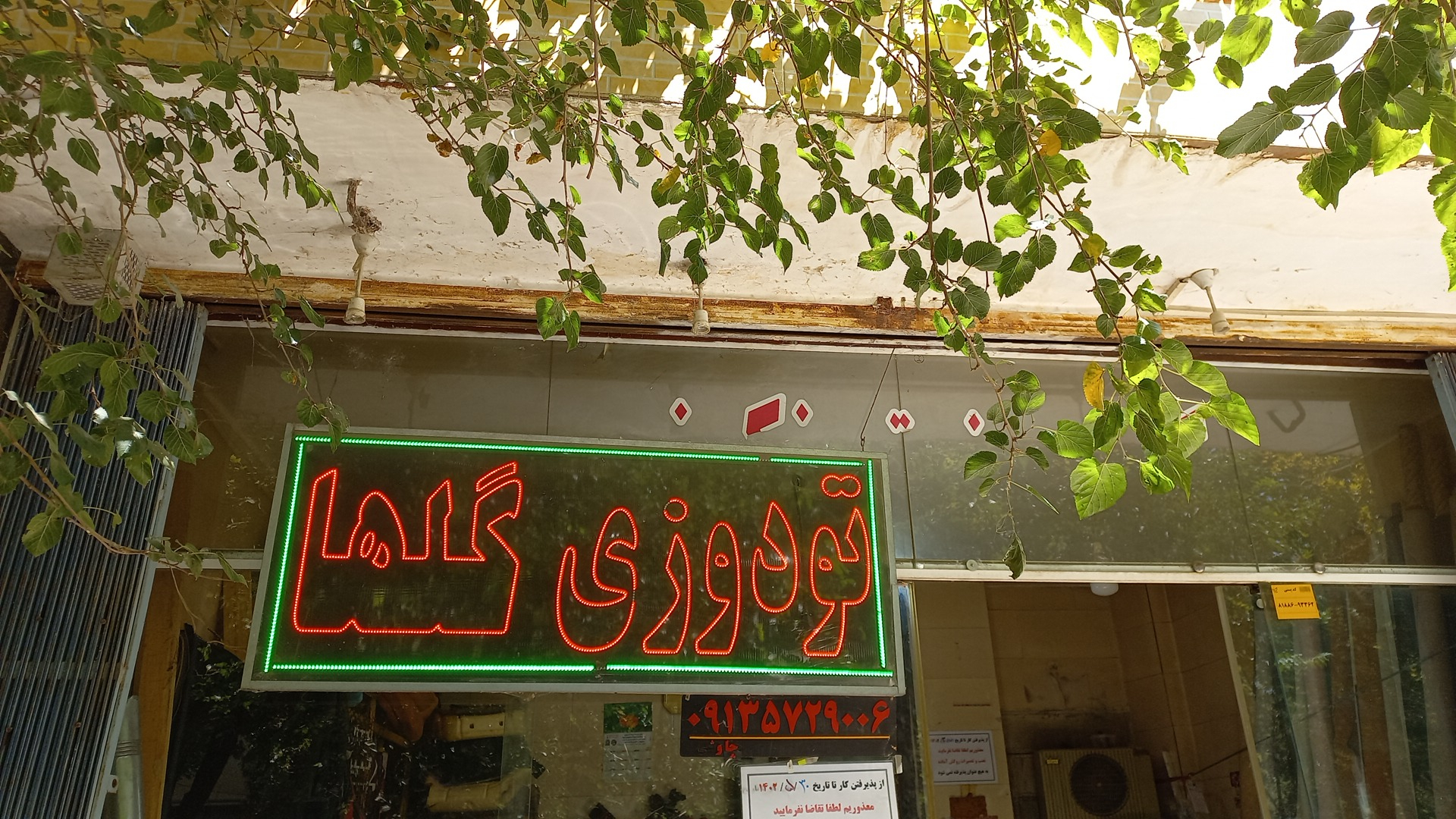 تودوزی گلها