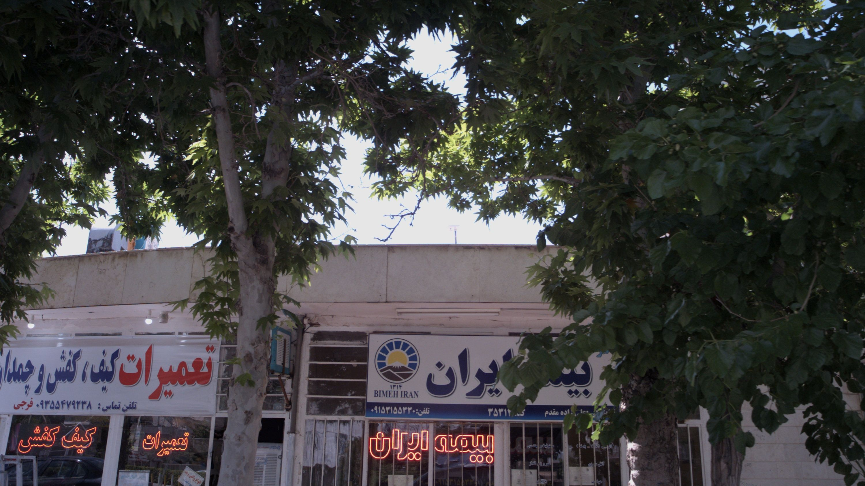بیمه ایران