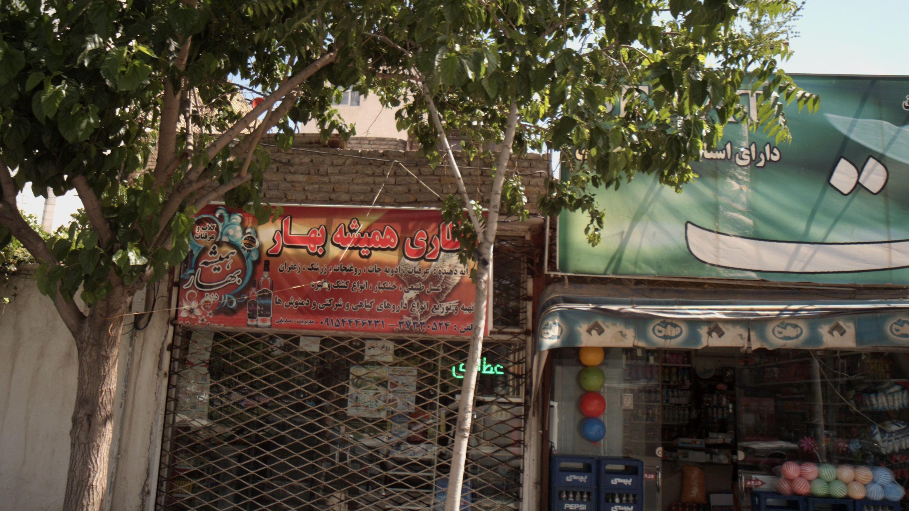 عطاری همیشه بهار