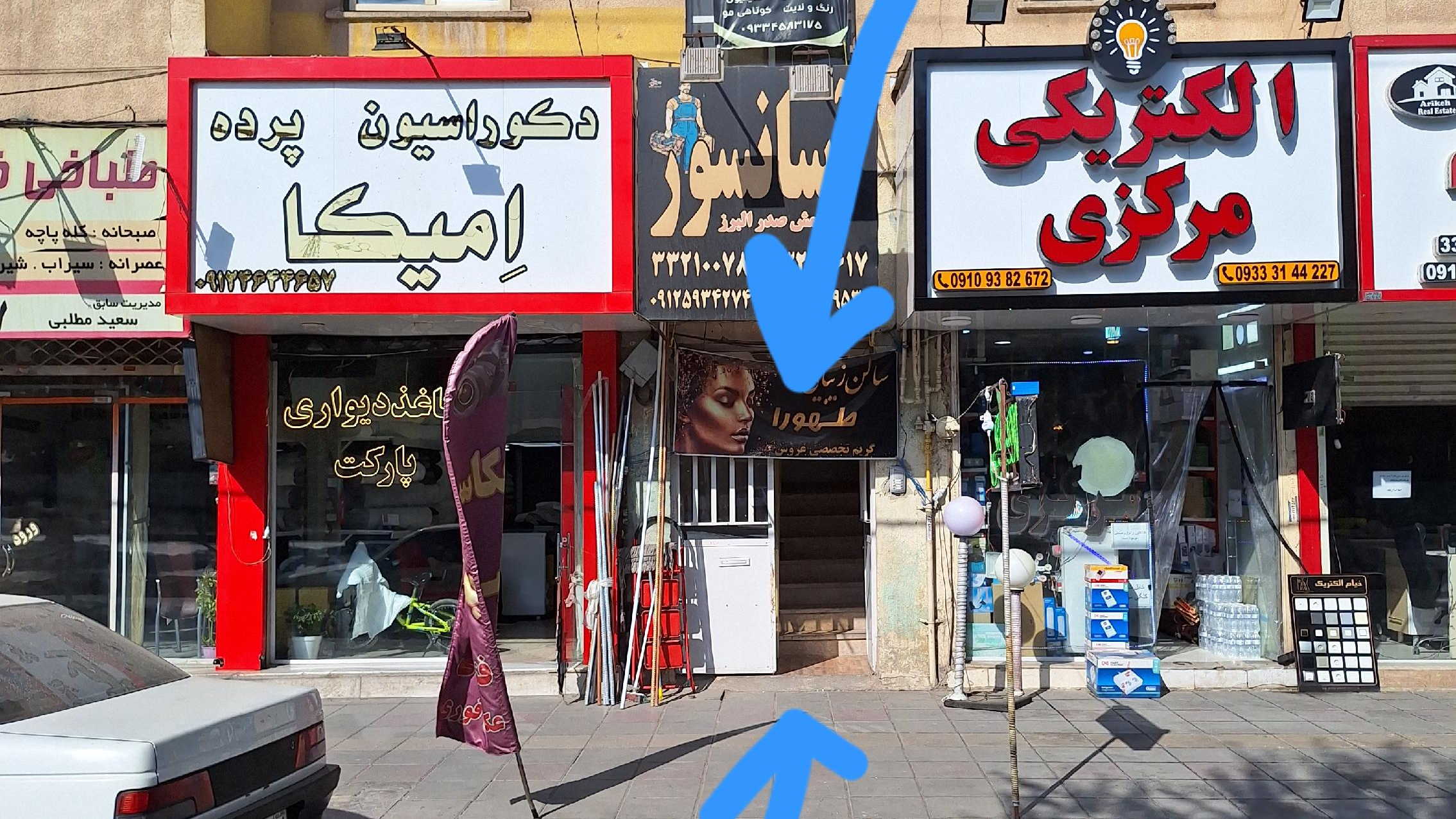 عکاسی بلبل
