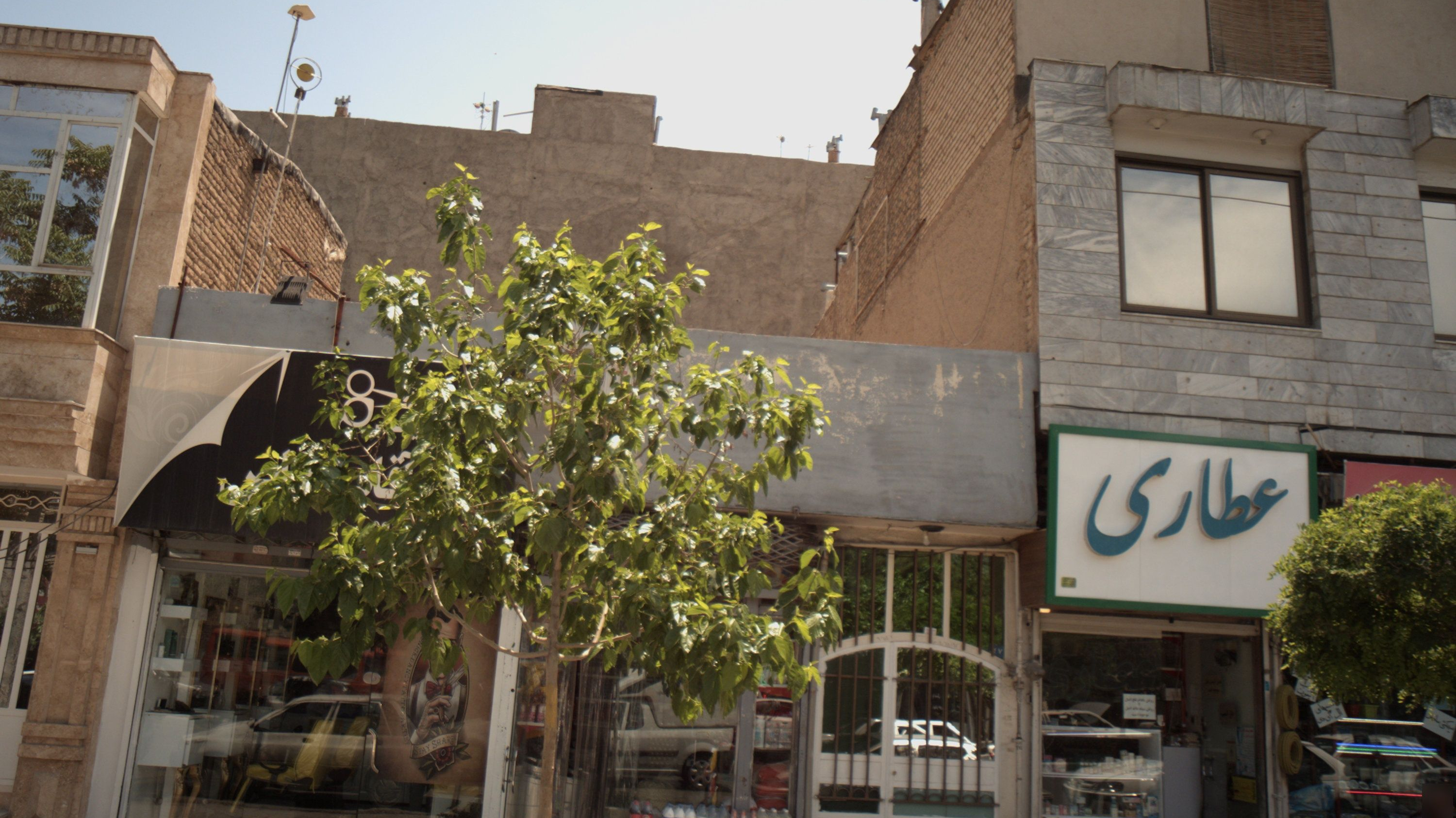 عطاری