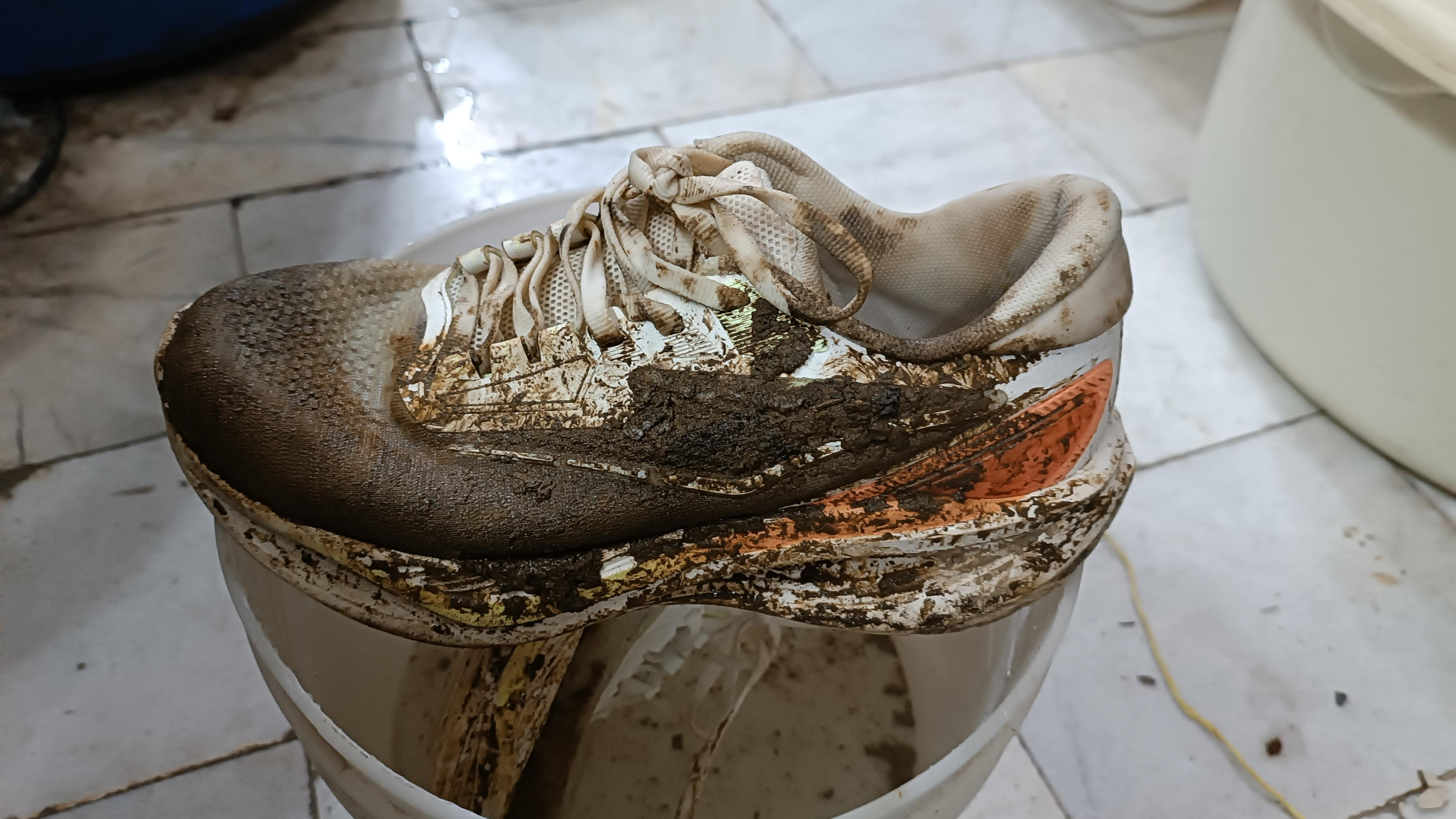 خشکشویی سپید اکسپرس