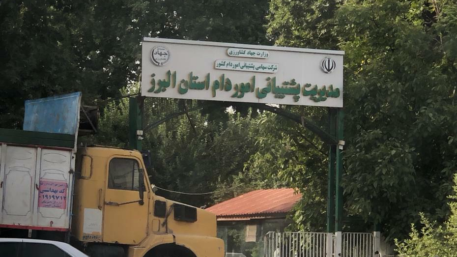 اداره کل پشتیبانی امور دام استان البرز