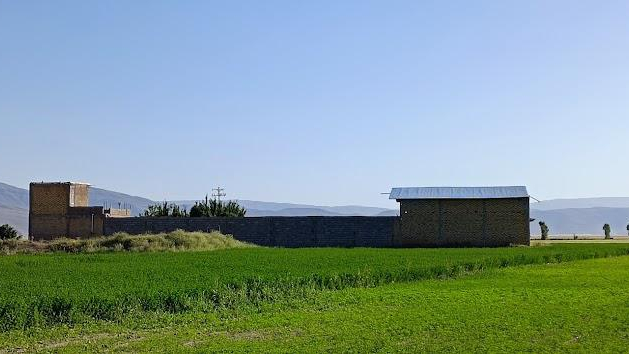 شرکت تعاونی پرواربندی کوهستان دام پهلوانی