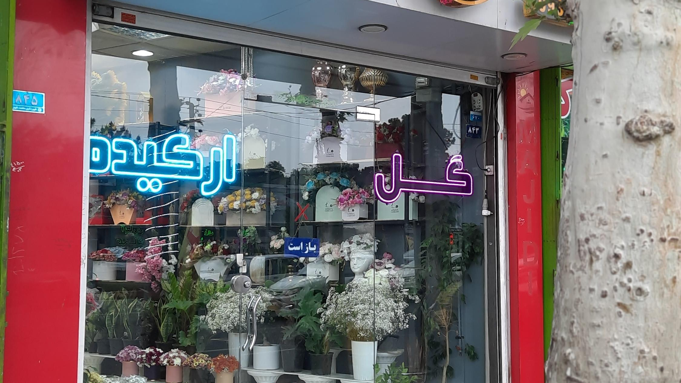 گل فروشی ارکیده