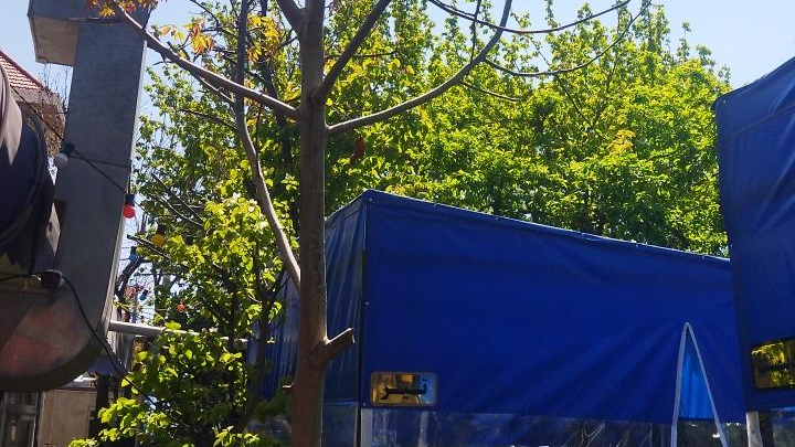 باغچه رستوران نفس