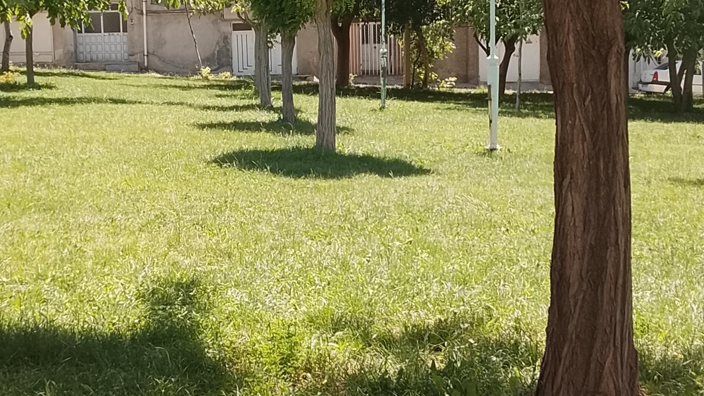 پارک آرام