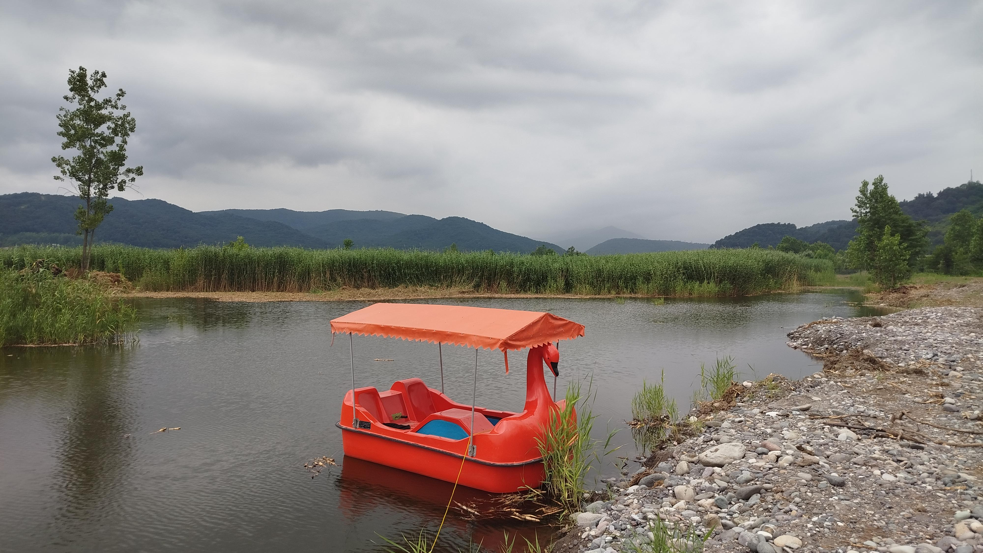 مرداب نیزار امامزاده هاشم