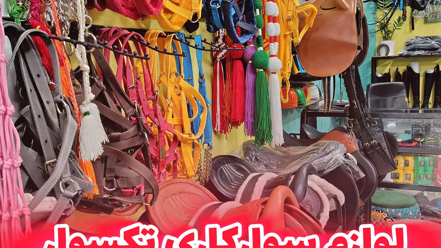 لوازم سوارکاری تکسوار یزد