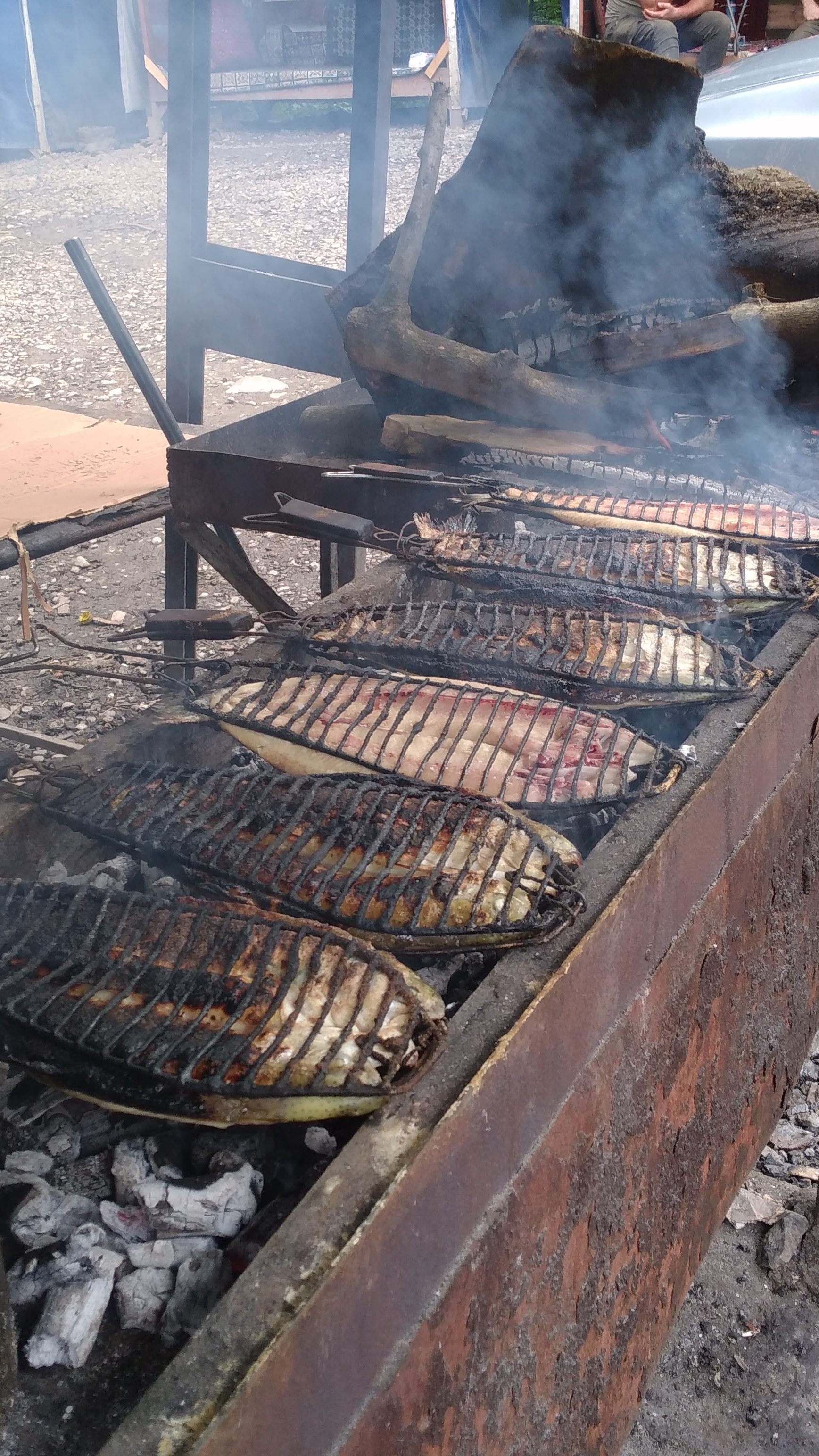 کباب ماهی عمو اصغر