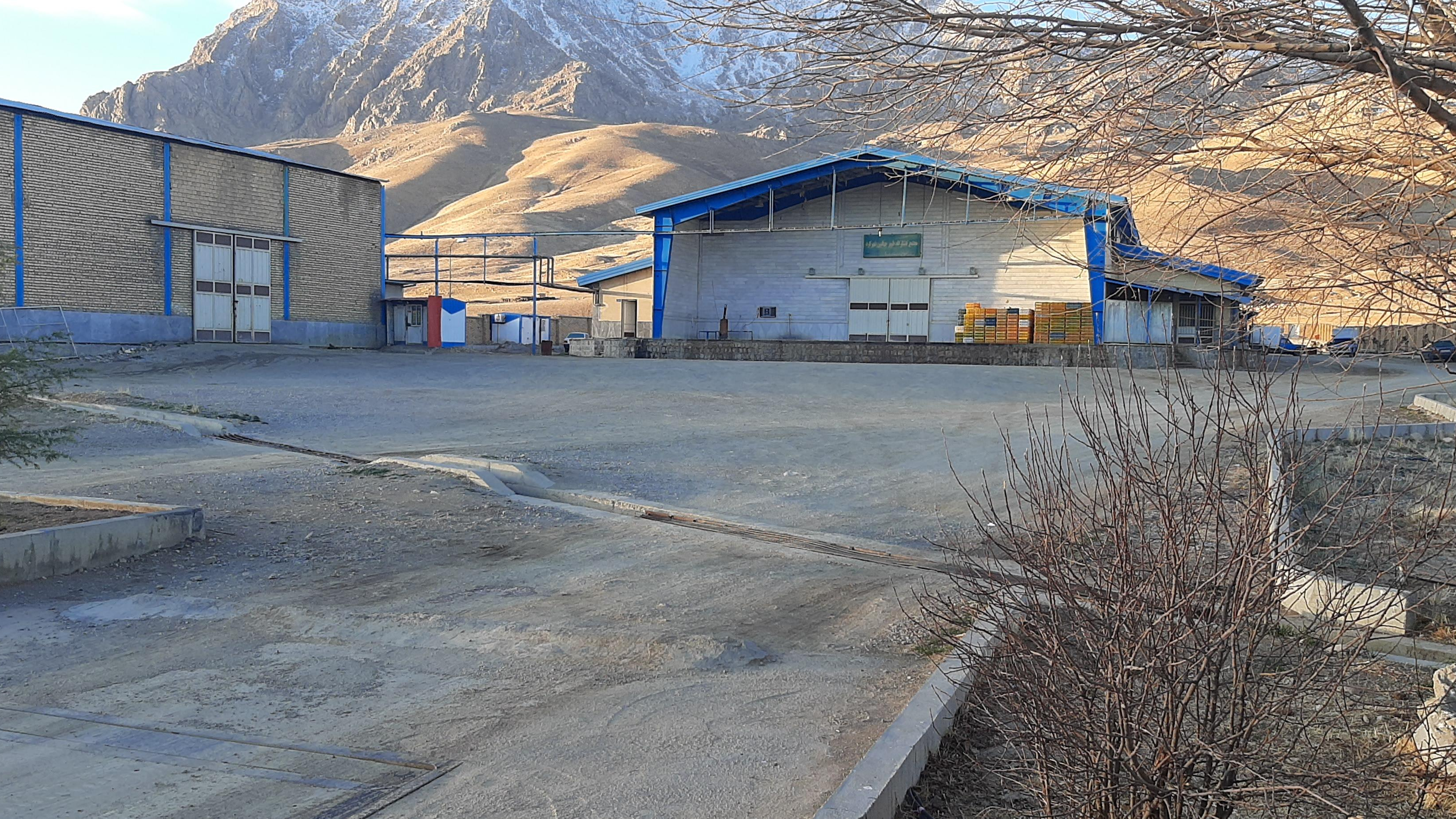 کشتارگاه صنعتی طیور جهانبین