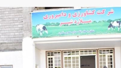 شرکت کشاورزی دامپروری ملاردشیر