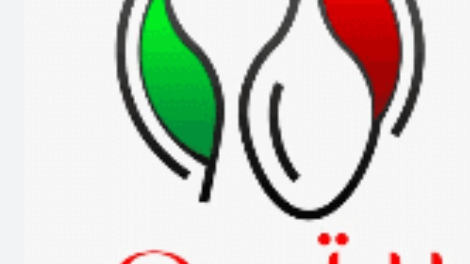 پیتزا ریتو