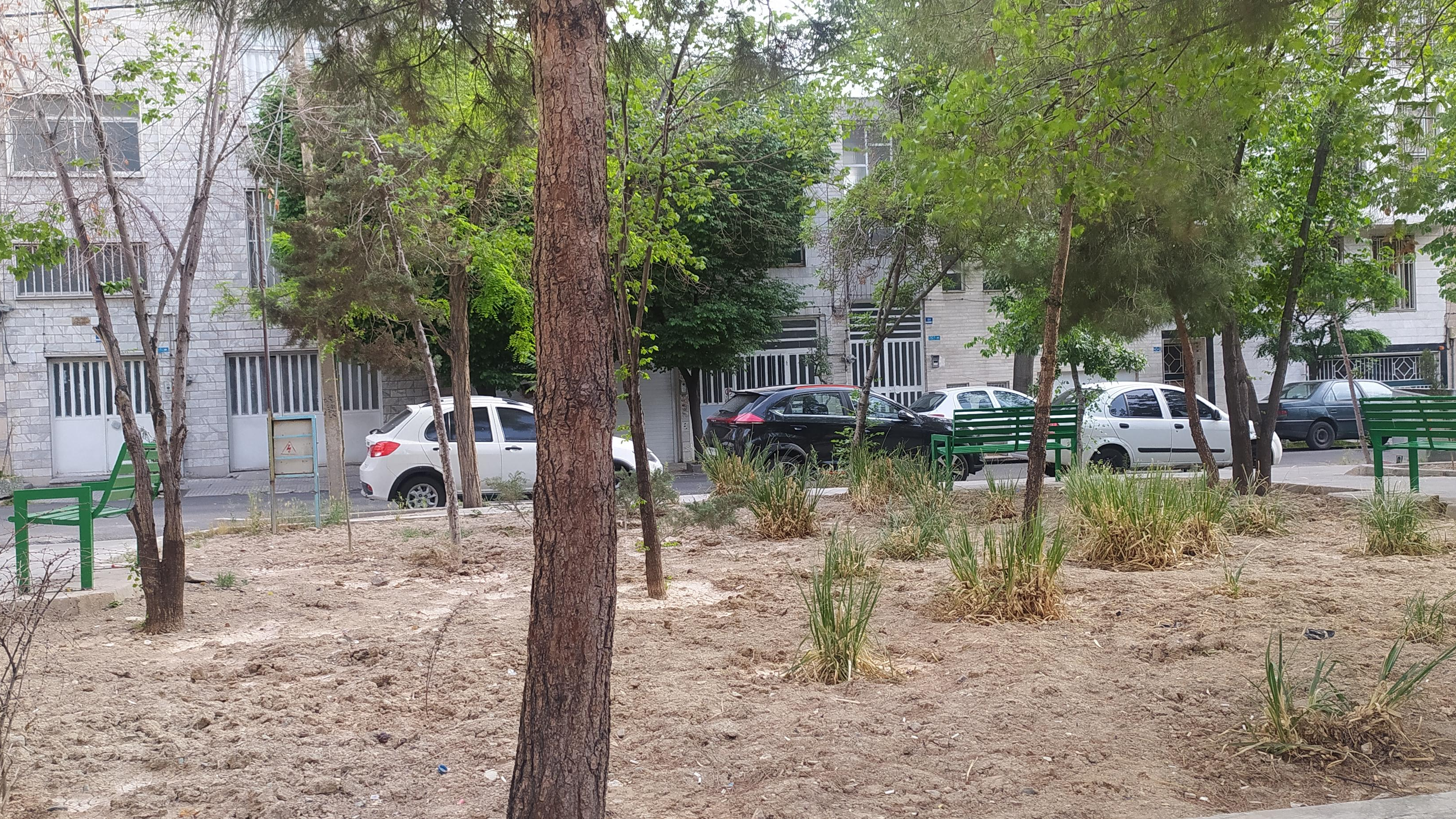 بوستان تجریشی