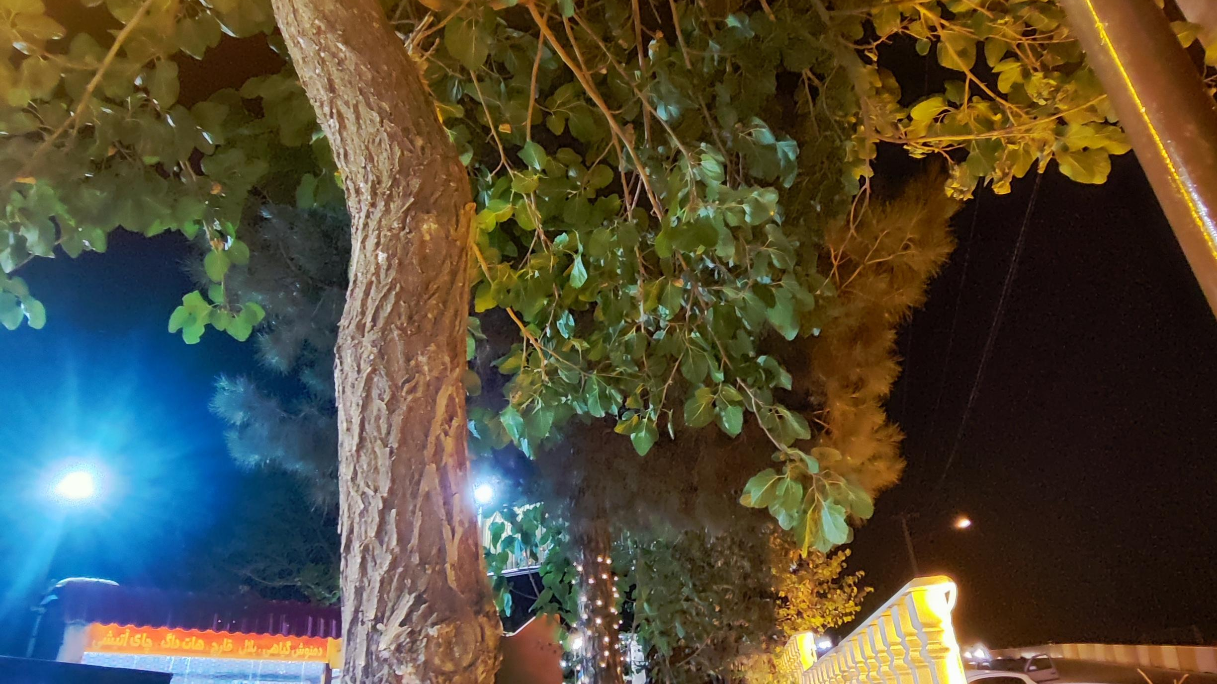 کافه رویا