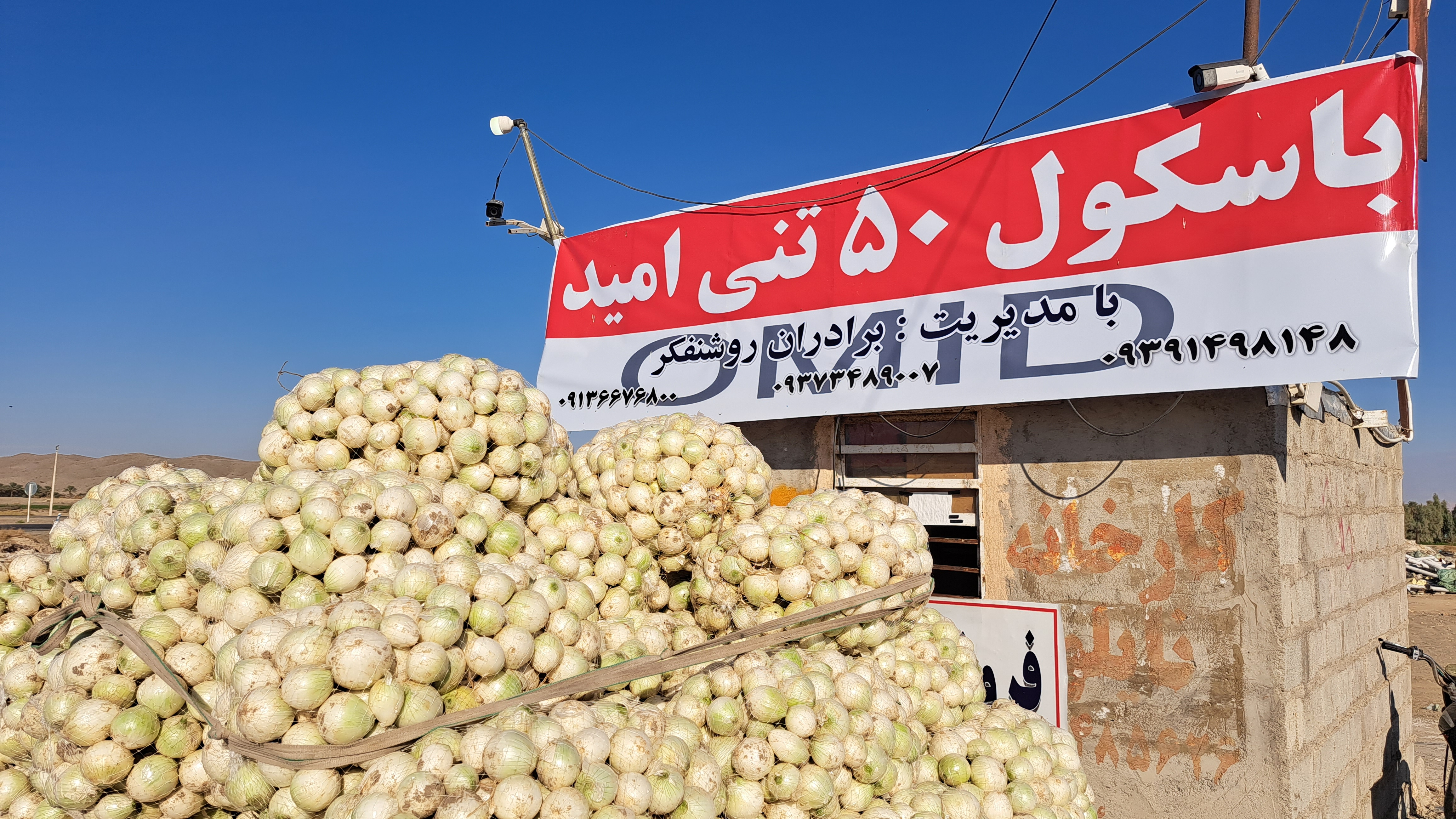 باسکول امید (روشنفکر)