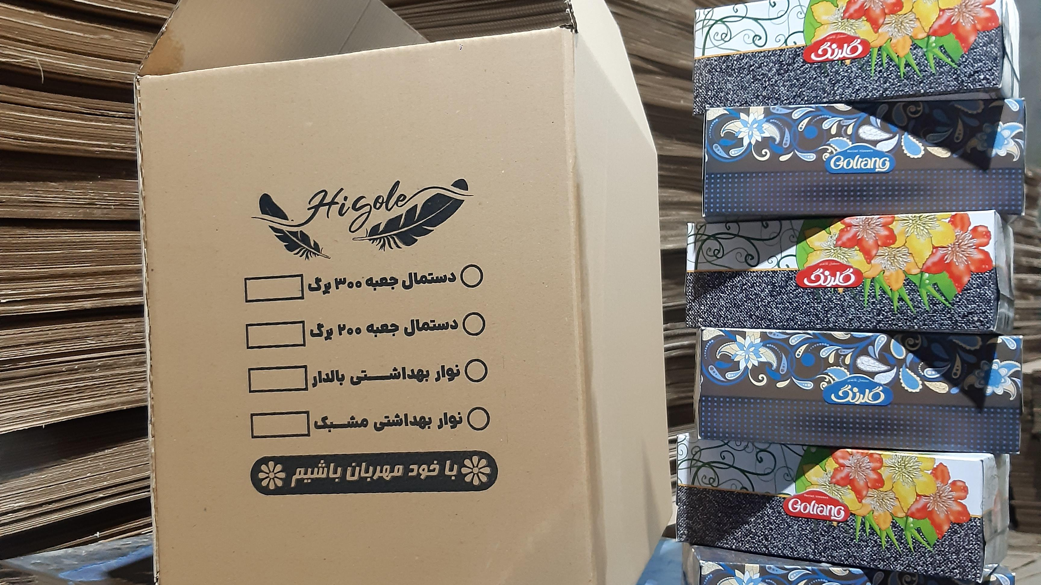 کارتن سازی آریا