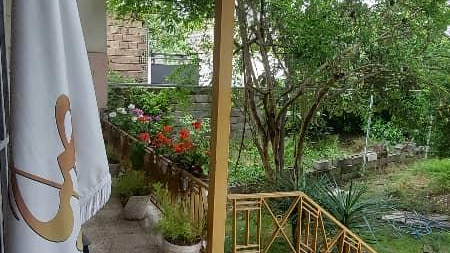 موسسه فرهنگی هنری صبا