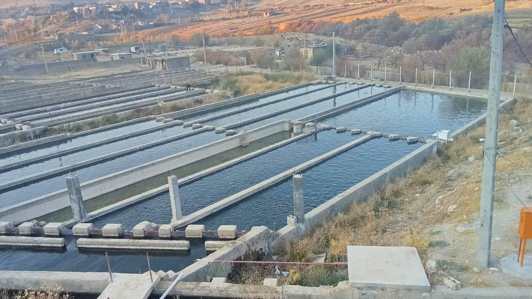 پرورش ماهی محمود سالاروند