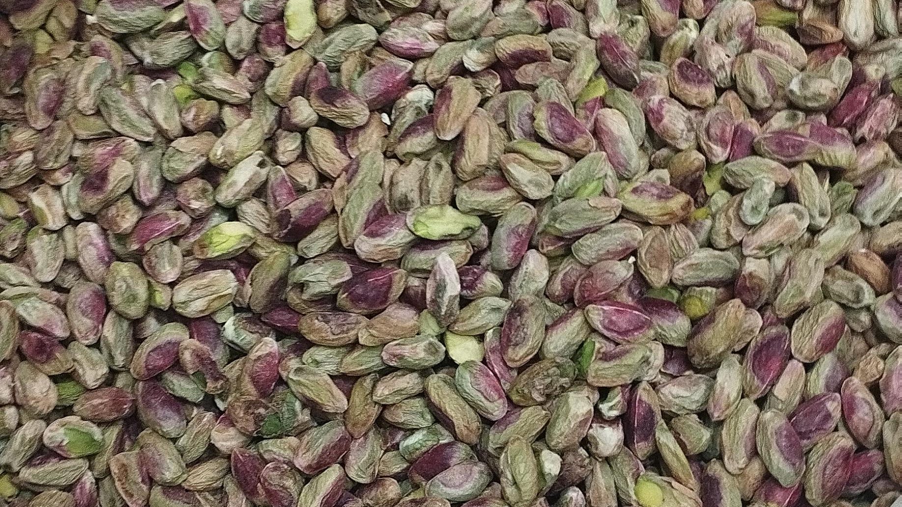 پسته امجدی(بت کن)