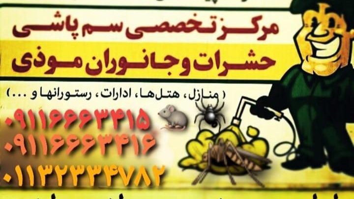 شرکت سمپاشی پیشگامان سلامت گستر مامطیر