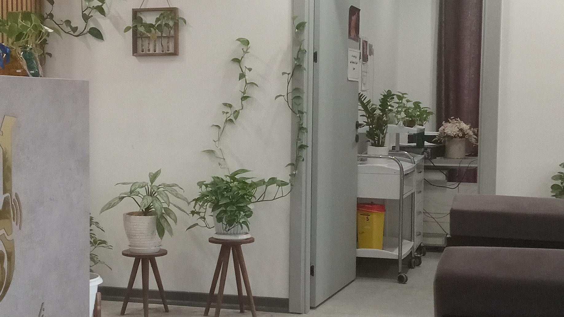 مرکز سونوگرافی و تصویربرداری دکتر مجید صمدی