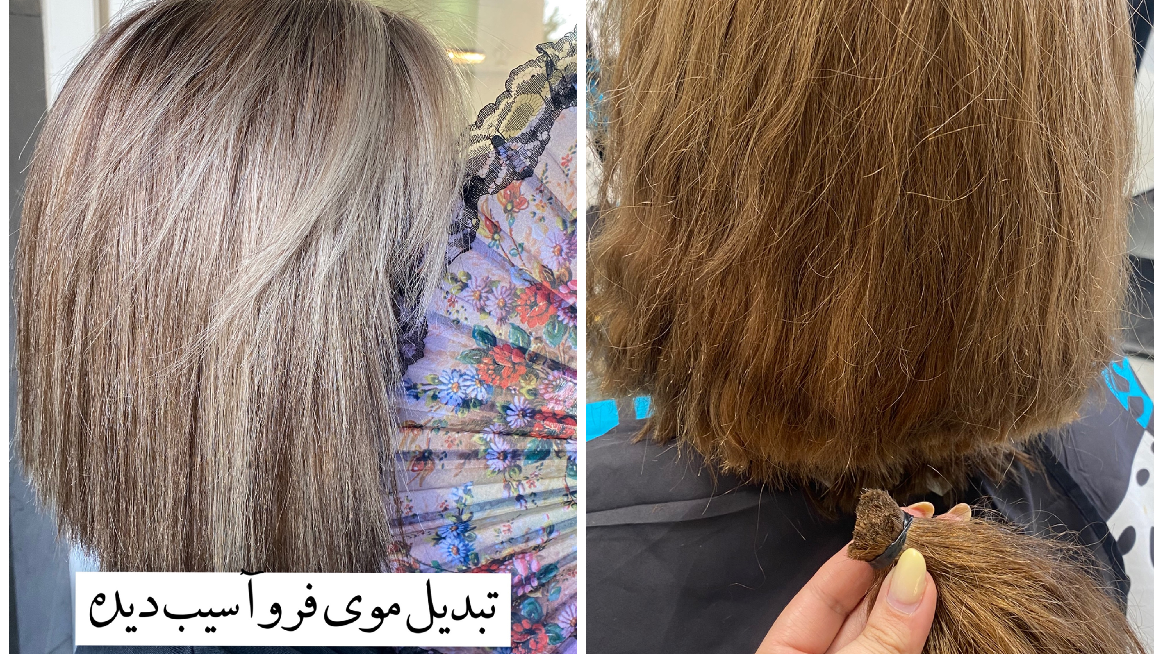 خدمات کوتاهی و رنگ و لایت ماریا بیوتی